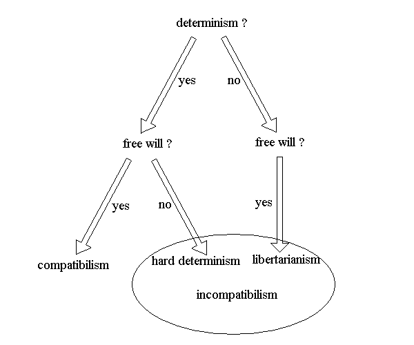 hard determinism essay